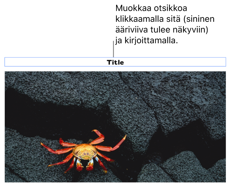 Paikanvaraajaotsikko ”Otsikko” näkyy kuvan alla, siniset ääriviivat otsikkokentän ympärillä osoittavat, että se on valittuna.