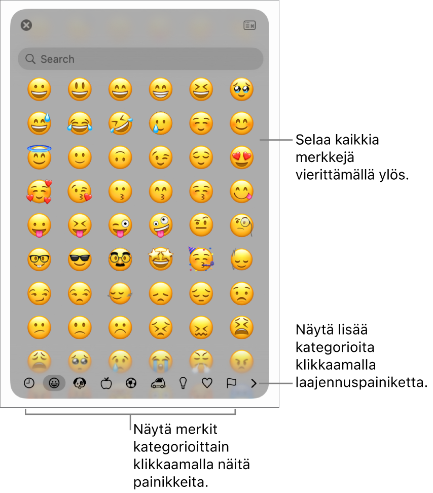 Erikoismerkkien ponnahdusikkuna, jossa näkyy hymiöitä, painikkeita erityyppisille symboleille alaosassa ja selite painikkeelle, joka näyttää koko Merkit-ikkunan.