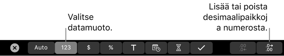 MacBook Pron Touch Bar, jossa on säätimet datamuodon valitsemiseen ja numeron desimaalipaikkojen lisäämiseen tai poistamiseen.