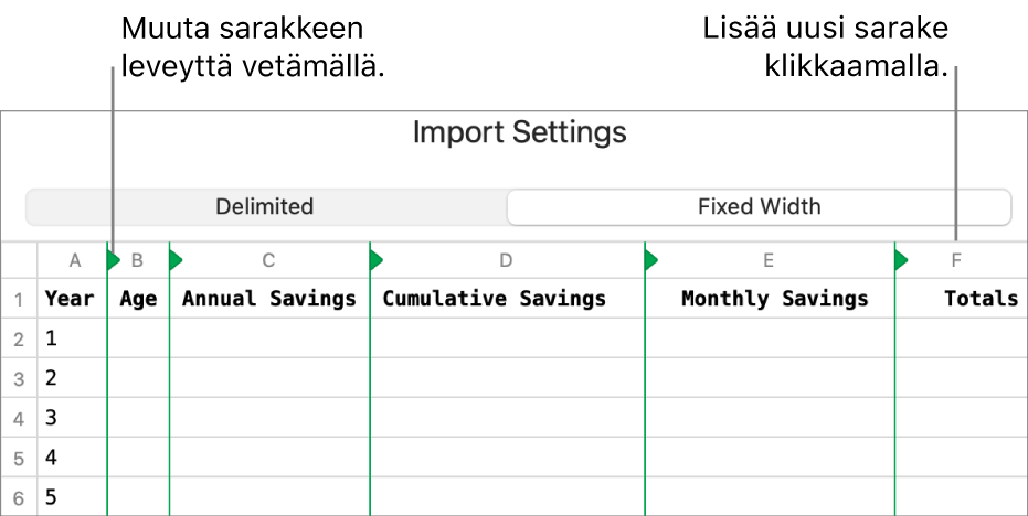 Kiinteän leveyden tekstitiedoston tuontiasetukset.