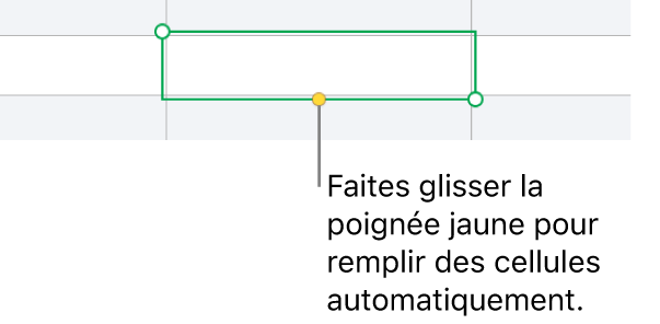 Une cellule sélectionnée avec une poignée jaune à faire glisser pour remplir automatiquement des cellules.