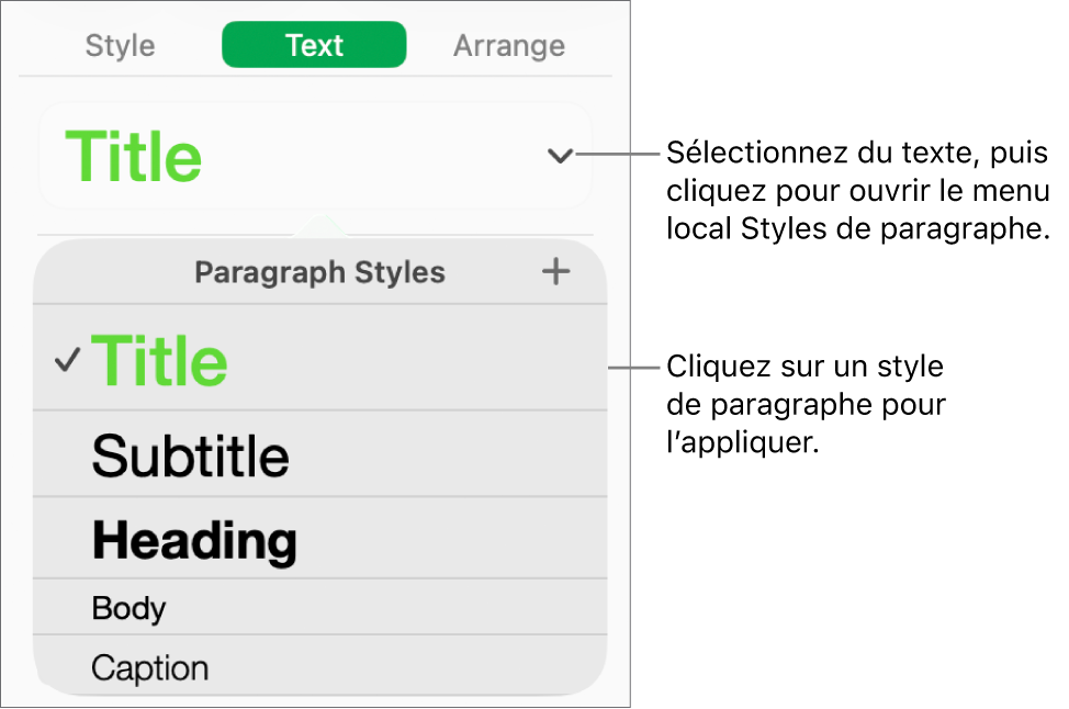 Menu Styles de paragraphe.