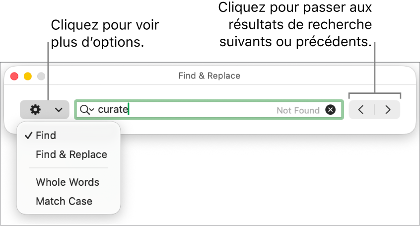 La fenêtre Rechercher et remplacer avec le menu contextuel qui affiche les options Rechercher, Rechercher et remplacer, Mots entiers et Respecter la casse. Les flèches situées à droite vous permettent d’accéder directement aux résultats de recherche précédents ou suivants.