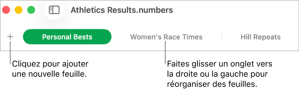 Barre des onglets pour ajouter une feuille et réorganiser les feuilles.