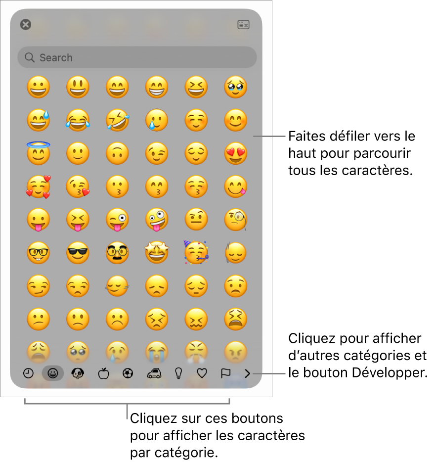 Le menu contextuel Caractères spéciaux affichant des émoticônes, les boutons de différents types de symboles en bas de la fenêtre et la légende d’un bouton pour afficher toute la fenêtre des caractères.