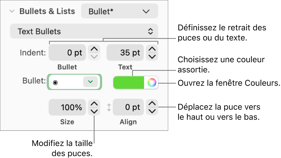 Section Puces et listes accompagnée des légendes des commandes pour le retrait des puces et du texte, la couleur des puces, leur taille et leur alignement.