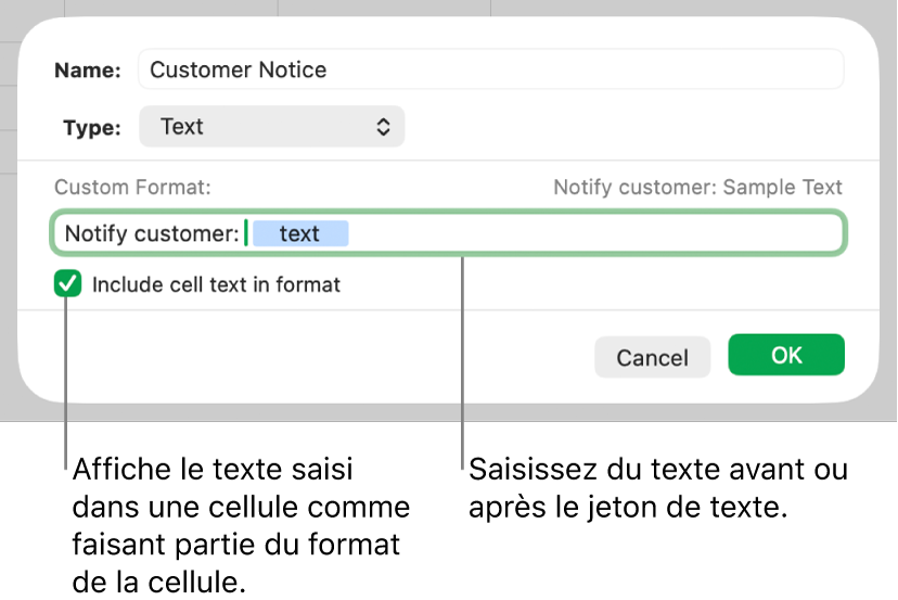 Format de cellule texte personnalisé.