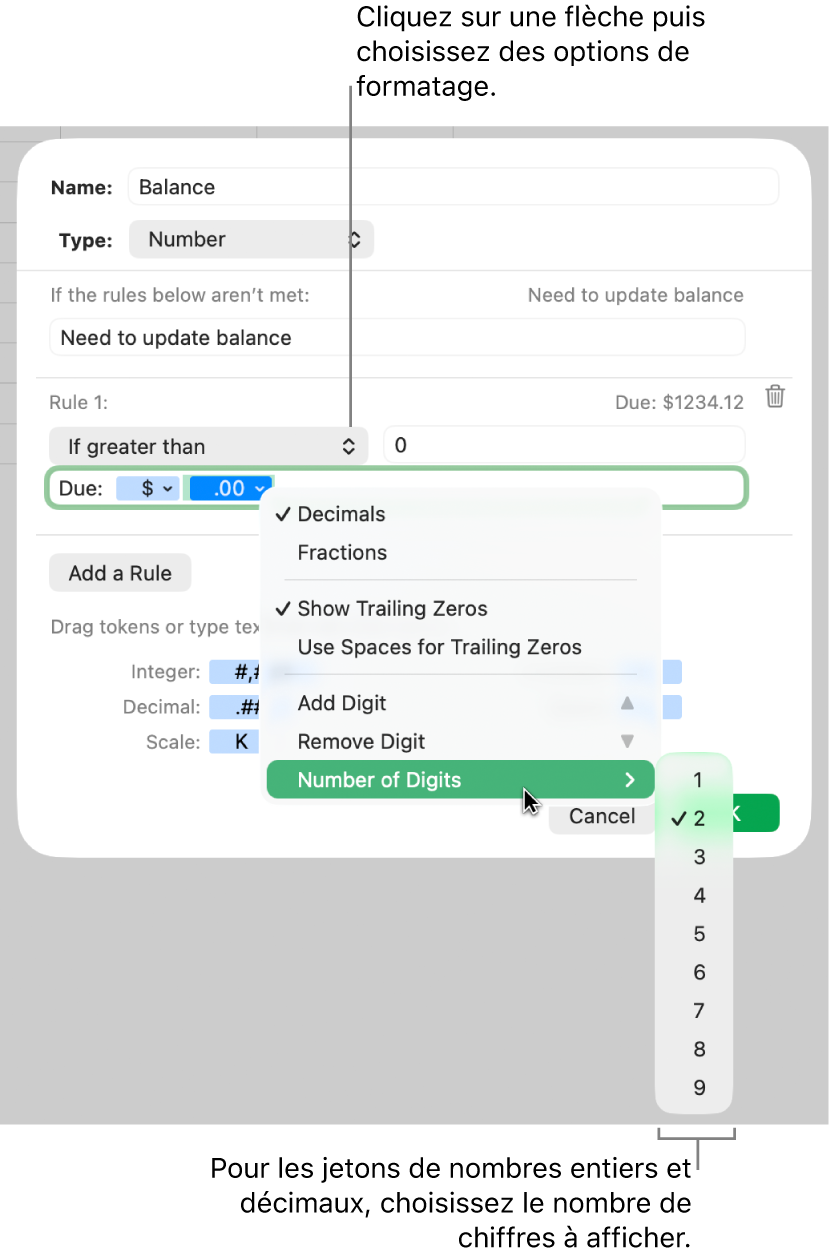 La fenêtre de format de cellule personnalisé présentant les commandes permettant de choisir des options de mise en forme personnalisée.