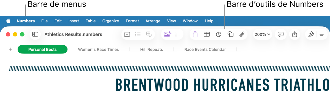 La barre des menus en haut de l’écran avec les menus Apple , Numbers, Fichier, Édition, Insertion, Tableau, Organiser, Format, Disposition, Présentation, Fenêtre et Aide. Feuille de calcul Numbers ouverte sous la barre des menus avec, tout le long du bord supérieur, les boutons Présentation, Zoom, Ajouter une catégorie, Tableau croisé dynamique, Insérer, Tableau, Graphique et Texte.