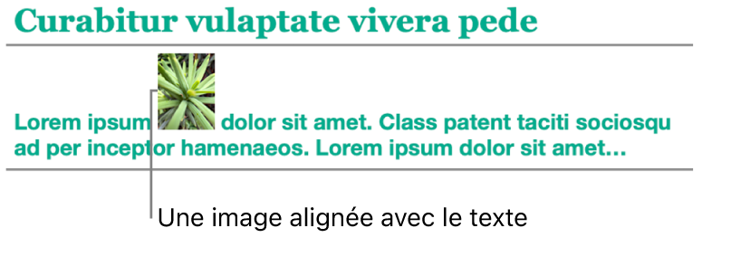 Une image est incorporée au texte.