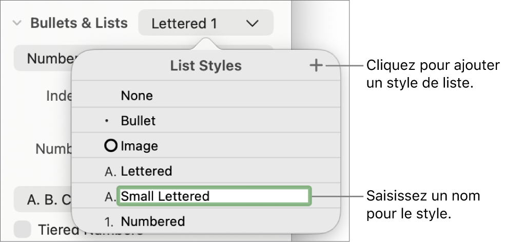 Menu contextuel Styles de liste avec un bouton Ajouter dans le coin supérieur et un nom de style de paramètre fictif dont le texte est sélectionné.