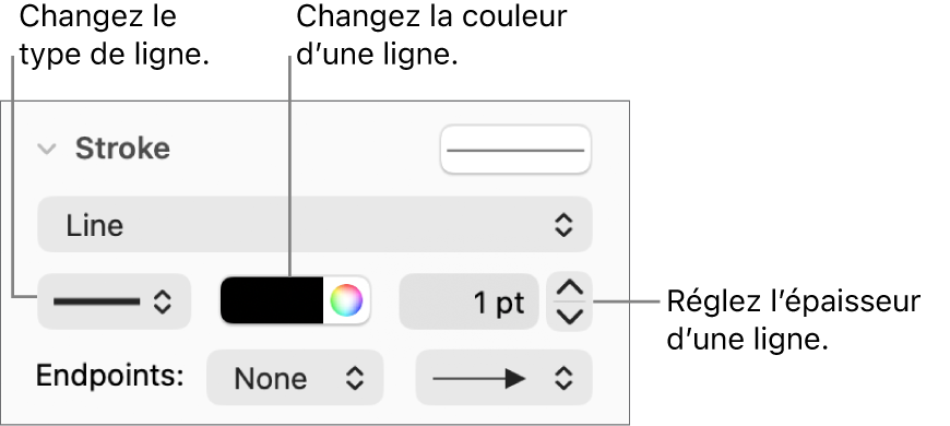 Les commandes de trait permettant de définir des extrémités, l’épaisseur du trait et sa couleur.