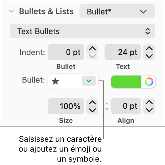La section Puces et listes de la barre latérale Format. Le champ Puce affiche un émoji de fleur.