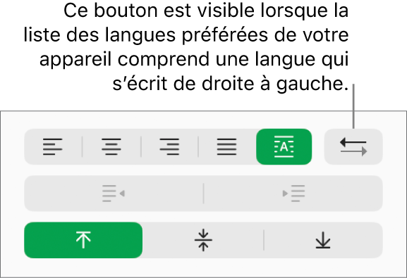 Le bouton Direction du paragraphe dans la section Alignement de la barre latérale Format.