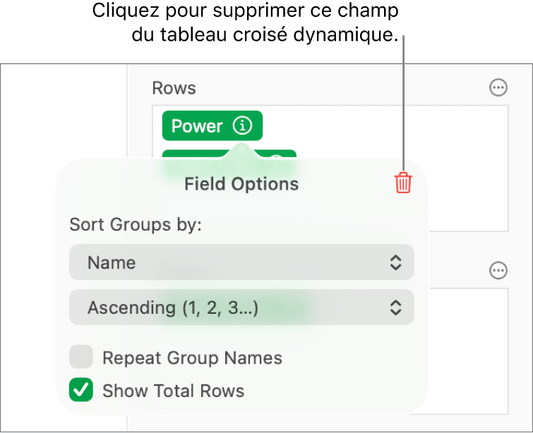 Menu Options de champ avec commandes de regroupement et de tri des données, ainsi que l’option de suppression de champ.