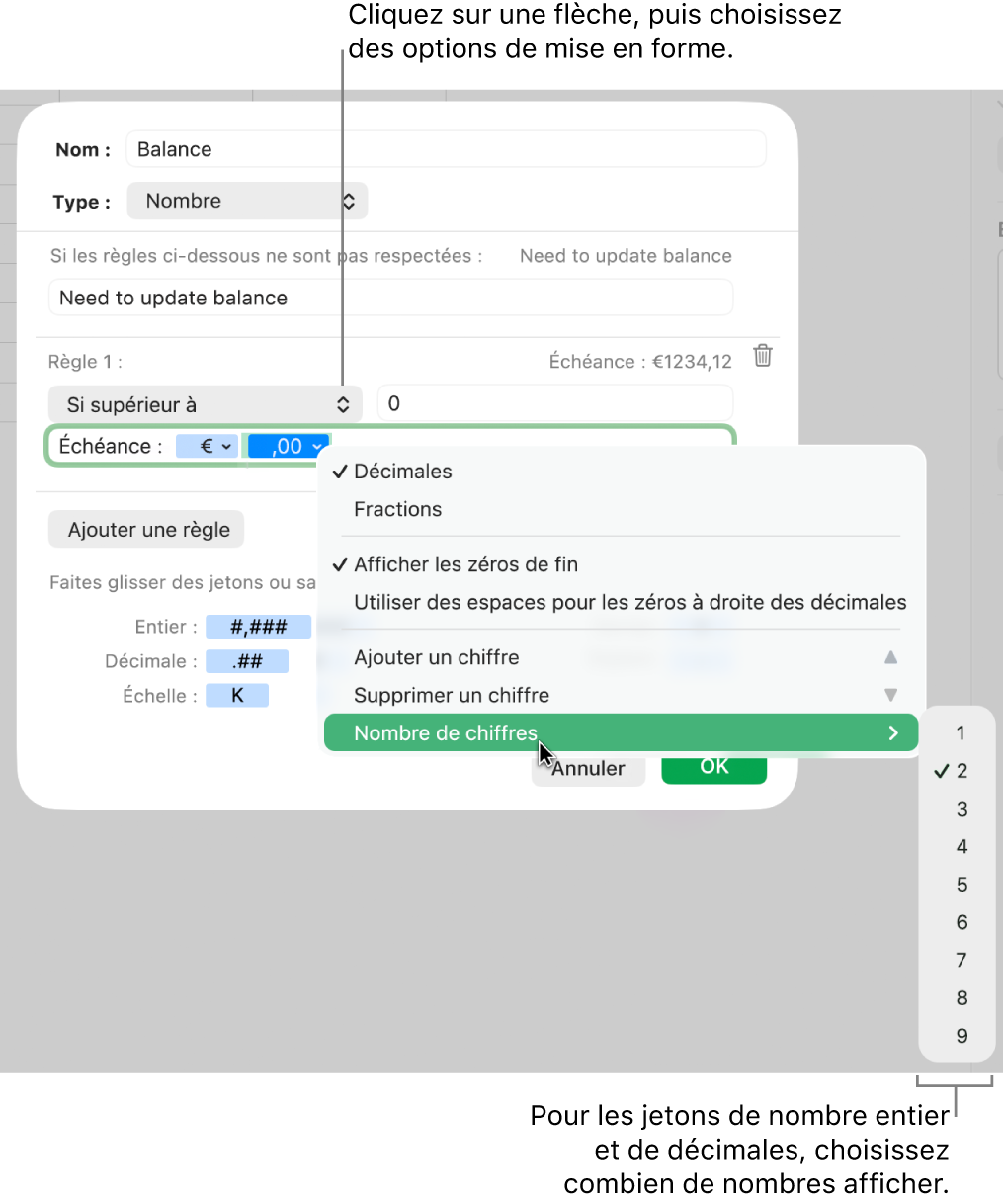 La fenêtre de format de cellule personnalisé présentant les commandes permettant de choisir des options de mise en forme personnalisée.