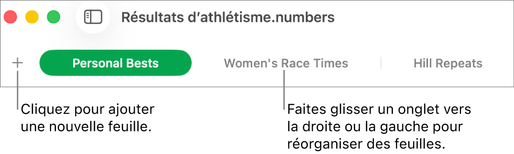 Barre des onglets pour ajouter une feuille et réorganiser les feuilles.