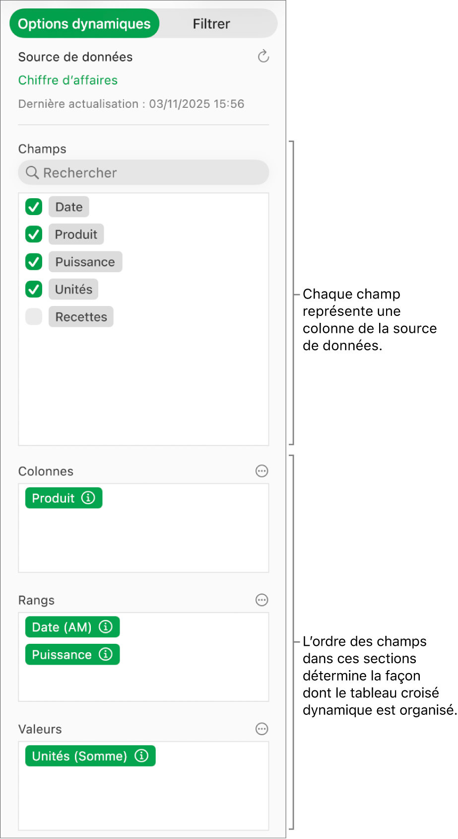 Le menu « Options dynamiques » affichant des champs dans les sections Colonnes, Rangs et Valeurs, ainsi que des commandes permettant de modifier les champs et d’actualiser le tableau croisé dynamique.