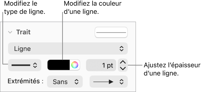 Les commandes de trait permettant de définir des extrémités, l’épaisseur du trait et sa couleur.