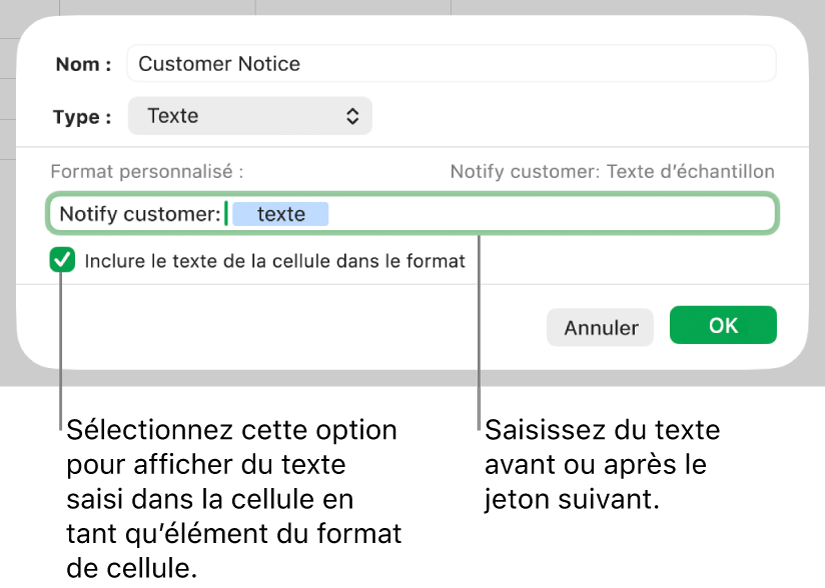 Format de cellule texte personnalisé.