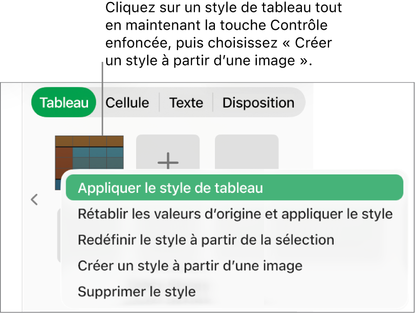 Le menu contextuel Style de tableau.