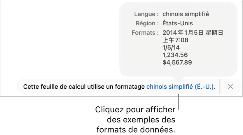 La notification du réglage de langue et de région différents, qui affiche des exemples de la mise en forme correspondant à cette langue et à cette région.