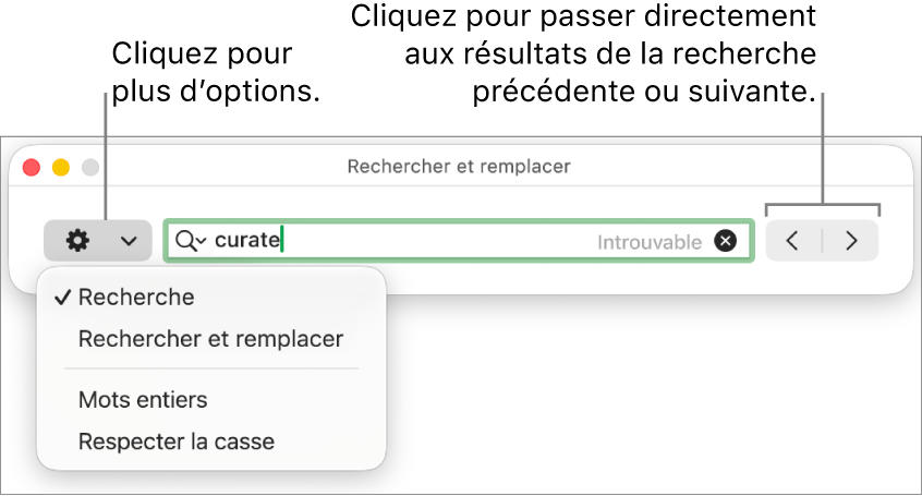La fenêtre Rechercher et remplacer avec le menu local présentant les options Rechercher, Rechercher et remplacer, Mots entiers et Respecter la casse. Les flèches à droite permettent d’accéder directement aux résultats de recherche suivants ou précédents.