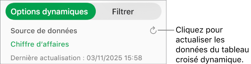 Onglet « Options dynamiques » affichant l’option d’actualisation du tableau croisé dynamique.