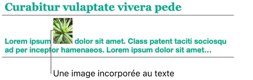 Image incorporée au texte.
