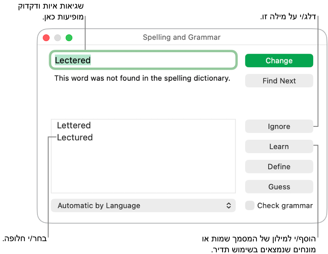 החלון ״איות ודקדוק״.