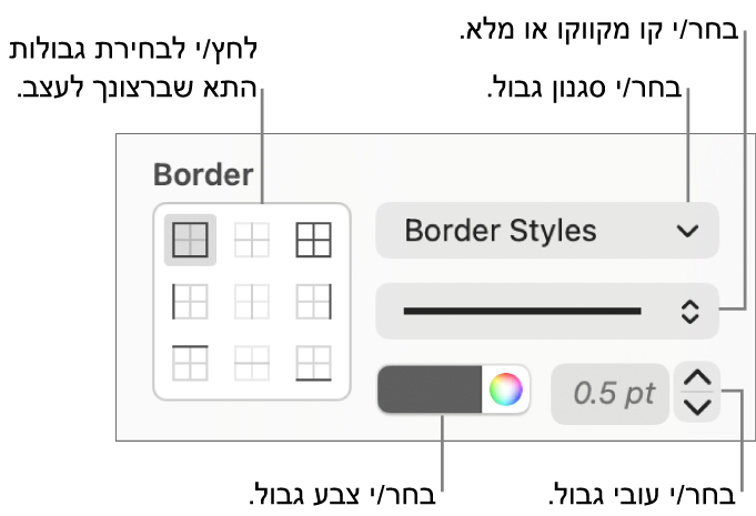 כלי בקרה להגדרת סגנון עבור גבולות תאים.
