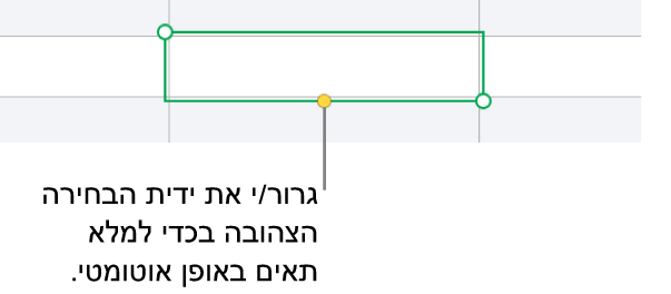 תא נבחר עם ידית צהובה שניתן לגרור כדי למלא תאים באופן אוטומטי.