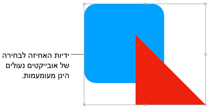 אובייקטים נעולים עם ידיות בחירה מעומעמות.