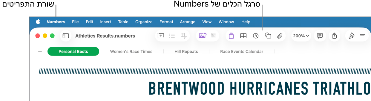 שורת התפריטים בראש המסך עם התפריטים Apple‏, Numbers, ״קובץ״, ״עריכה״, ״הכנס״, ״טבלה״, ״ארגן״, ״עיצוב״, ״ארגון״, ״תצוגה״, ״חלון״ ו״עזרה״. מתחת לשורת התפריטים ישנו גיליון עבודה פתוח של Numbers עם כפתורי סרגלי כלים לאורך החלק העליון עבור ״תצוגה״, ״הגדלה/הקטנה״, ״הוסף קטגוריה״, ״טבלת סבסוב״, ״הכנס״, ״טבלה״, ״תרשים״ ו״מלל״.