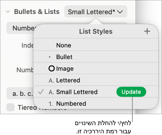 התפריט הקופצני ״סגנונות רשימה״ עם כפתור ״עדכן״ בסמוך לשמו של הסגנון החדש.