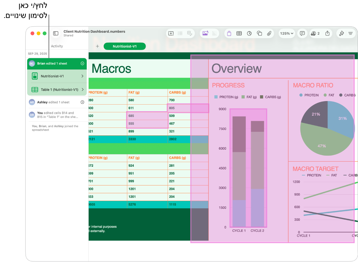 גיליון עבודה שיתופי כאשר רשימת הפעולות ותפריט ״שיתוף פעולה״ פתוחים.