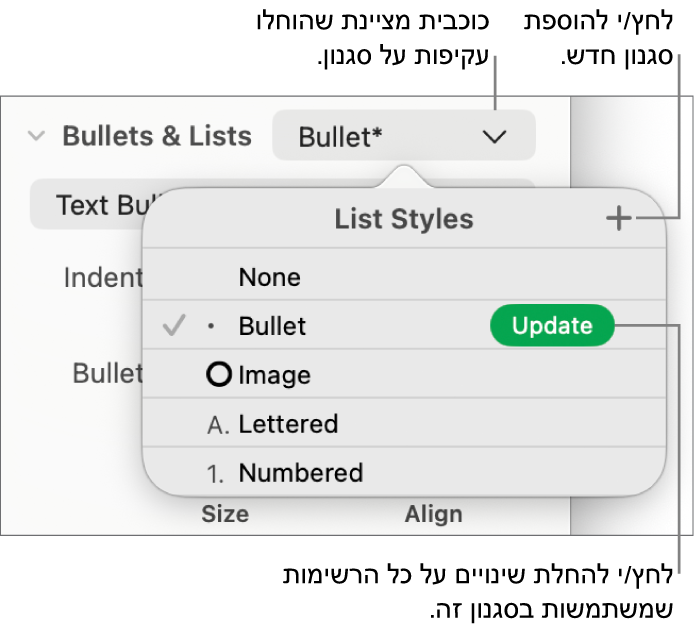 התפריט הקופצני ״סגנונות רשימה״ עם כוכבית המציינת החלפה, עם הסבר לכפתור ״סגנון חדש״ ועם תפריט משנה שמכיל אפשרויות לניהול סגנונות.