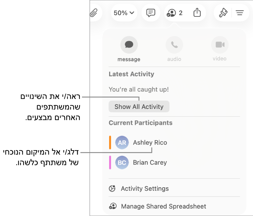 תפריט ״שיתוף פעולה״ שרואים בו שני משתתפים פעילים כעת.