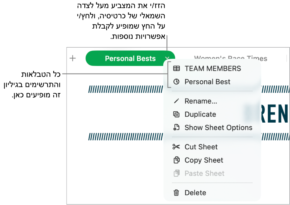 כרטיסיה של גיליון עבודה כאשר תפריט הקיצור פתוח ומציג אפשרויות, כולל ״שכפל״.