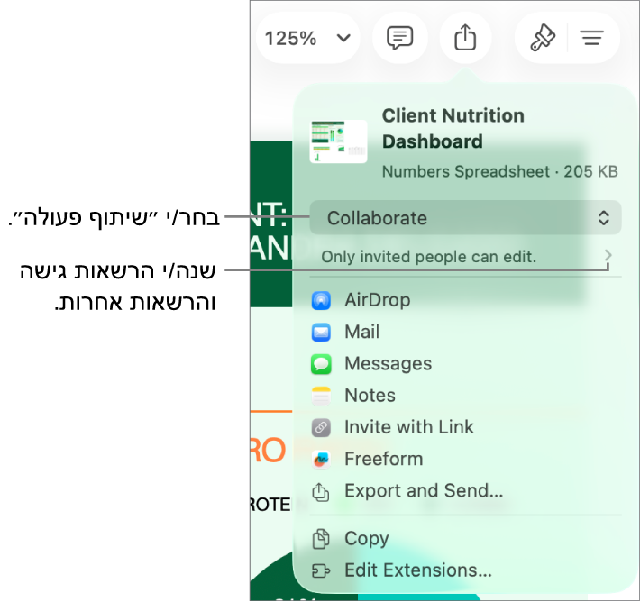 תפריט השיתוף כאשר האפשרות ״שיתוף פעולה״ נבחרת בחלק העליון ומתחתיה הגדרות הגישה וההרשאות.