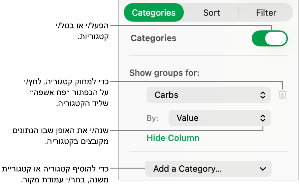 סרגל הצד של קטגוריות עם אפשרויות לביטול קטגוריות, מחיקת קטגוריות, סידור מחדש של נתונים בקבוצות, הסתרת עמודת מקור והוספת קטגוריות.