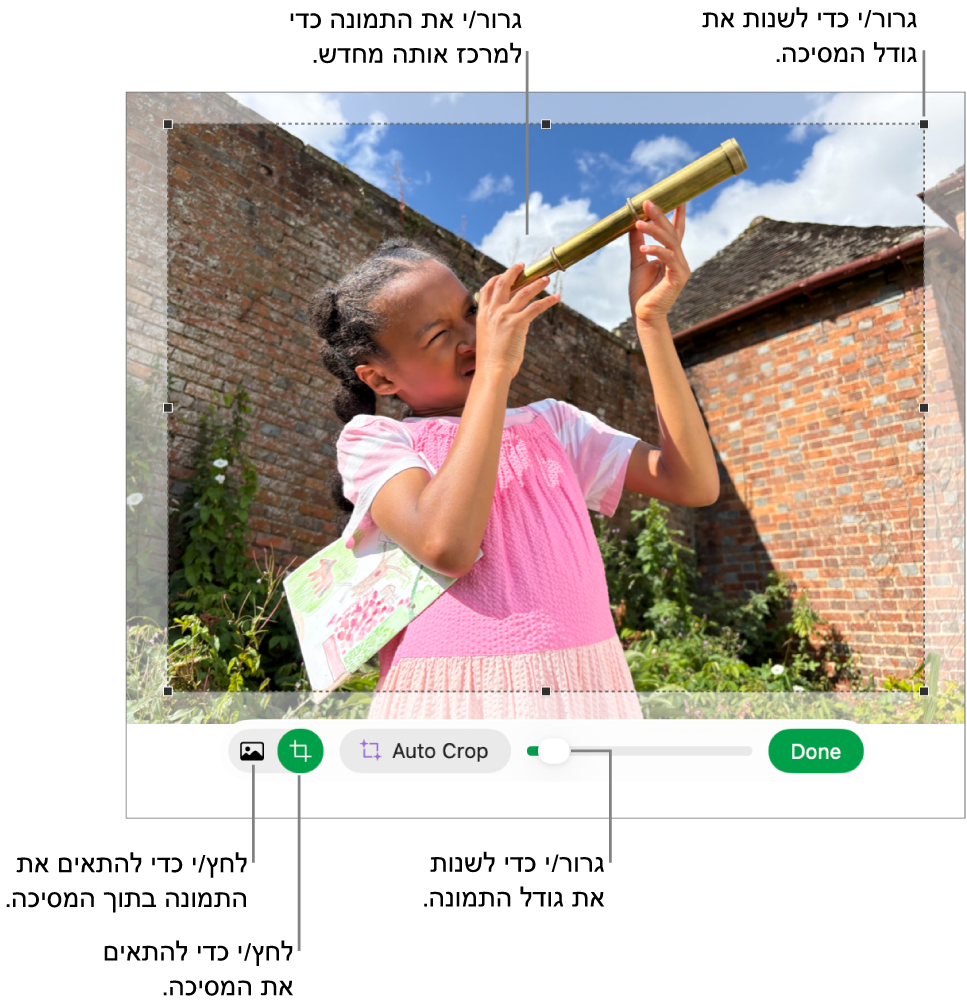כלי הבקרה של מיסוך מעל תמונה.