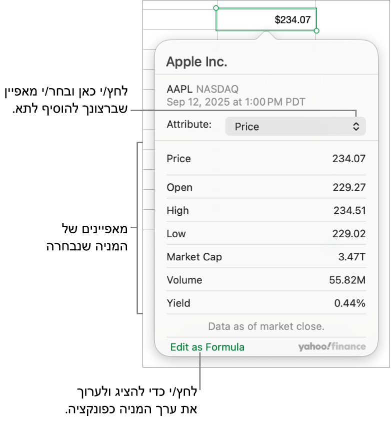 תיבת הדו-שיח להזנת פרטי מאפיינים של מניות, עם Apple כמניה הנבחרת.