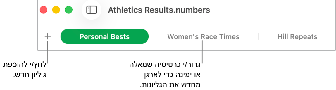 סרגל הלשוניות המאפשר הוספת גיליון חדש וארגון מחדש של הגיליונות.