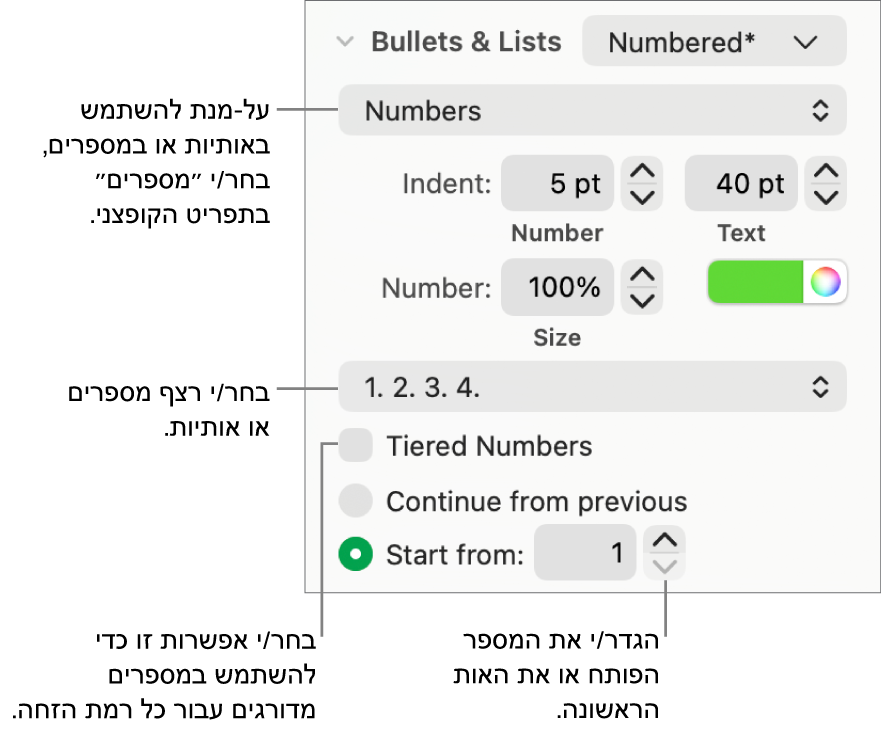 כלי בקרה לשינוי סגנון המספרים והמרווחים ברשימה.