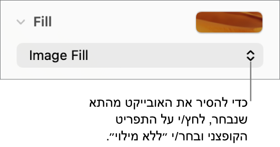 כלי הבקרה להסרת אובייקט מהתא שנבחר.