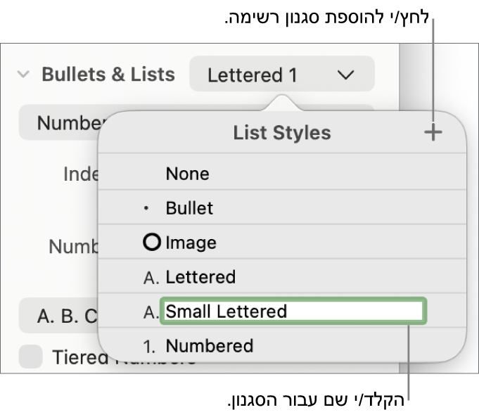 התפריט הקופצני ״סגנונות רשימה״ עם כפתור ״הוסף״ בפינה הימנית העליונה ושם של סגנון מציין מיקום כאשר המלל שלו נבחר.