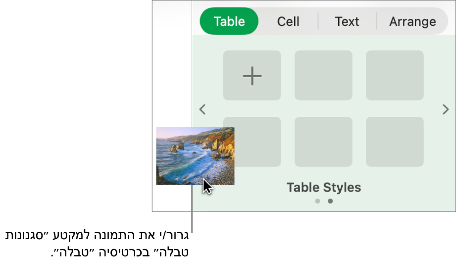 גרירת תמונה לסגנונות הטבלה כדי ליצור סגנון חדש.