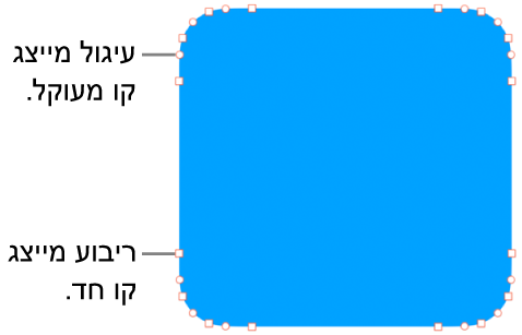 צורה עם נקודות ניתנות לעריכה.