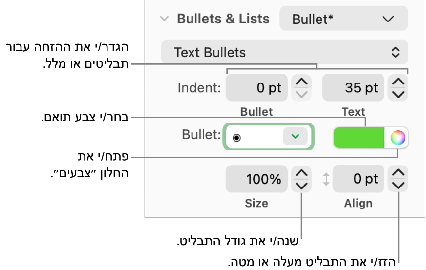 המקטע ״תבליטים ורשימות״ עם הסברים לגבי הפקדים של הזחת תבליט ומלל, צבע תבליט, גודל תבליט ויישור.